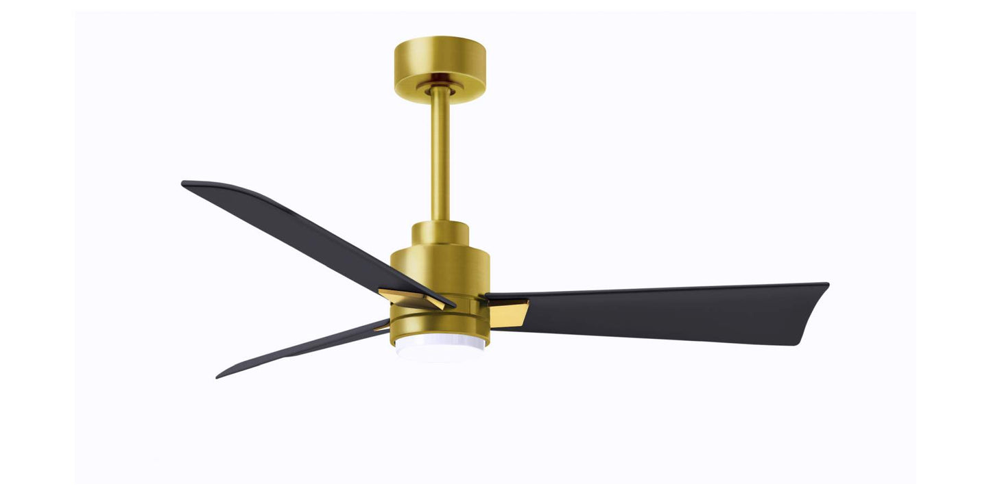 AKLK-BRBR-BK-42 - 42 Inch Alessandra-LK in Brushed Brass with Matte Black Blades