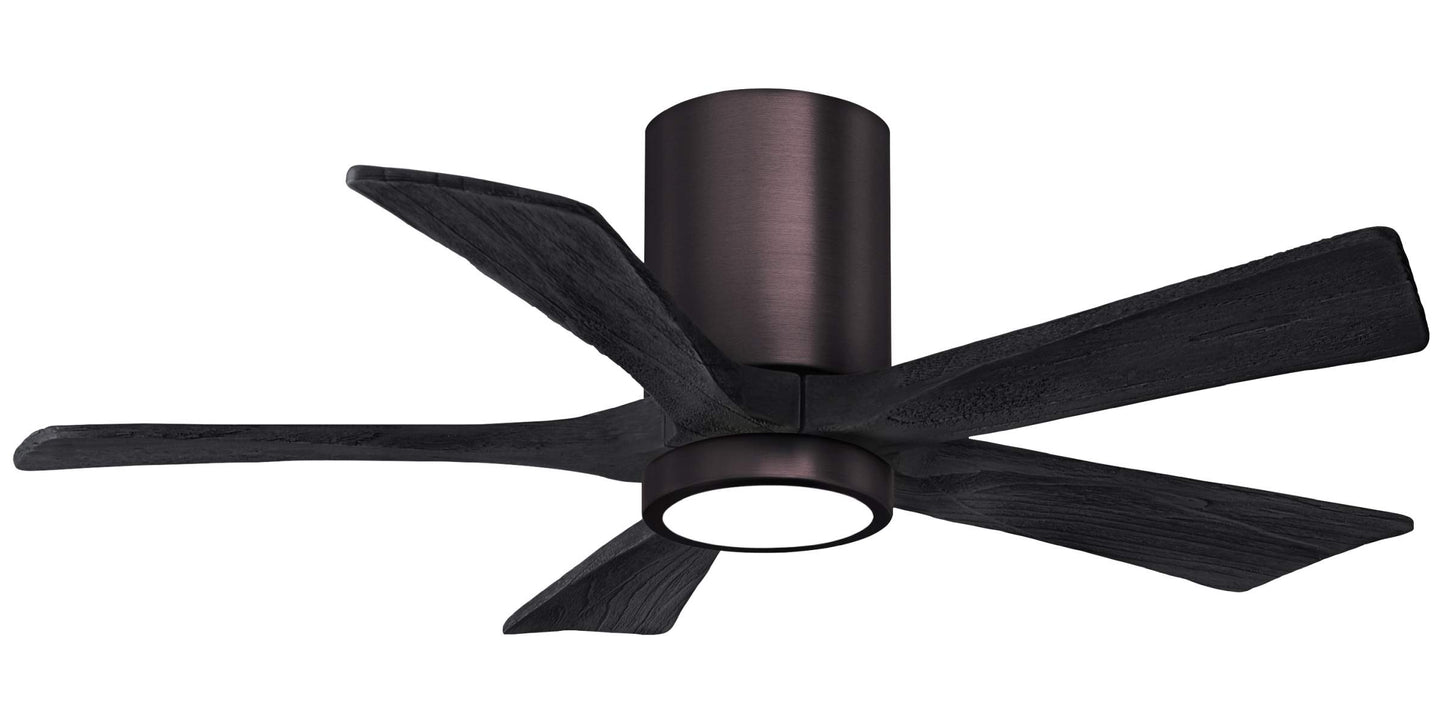 IR5HLK-BB-BK-42 Atlas Irene 42" Ceiling Fan in Brushed Bronze with Matte Black Blades