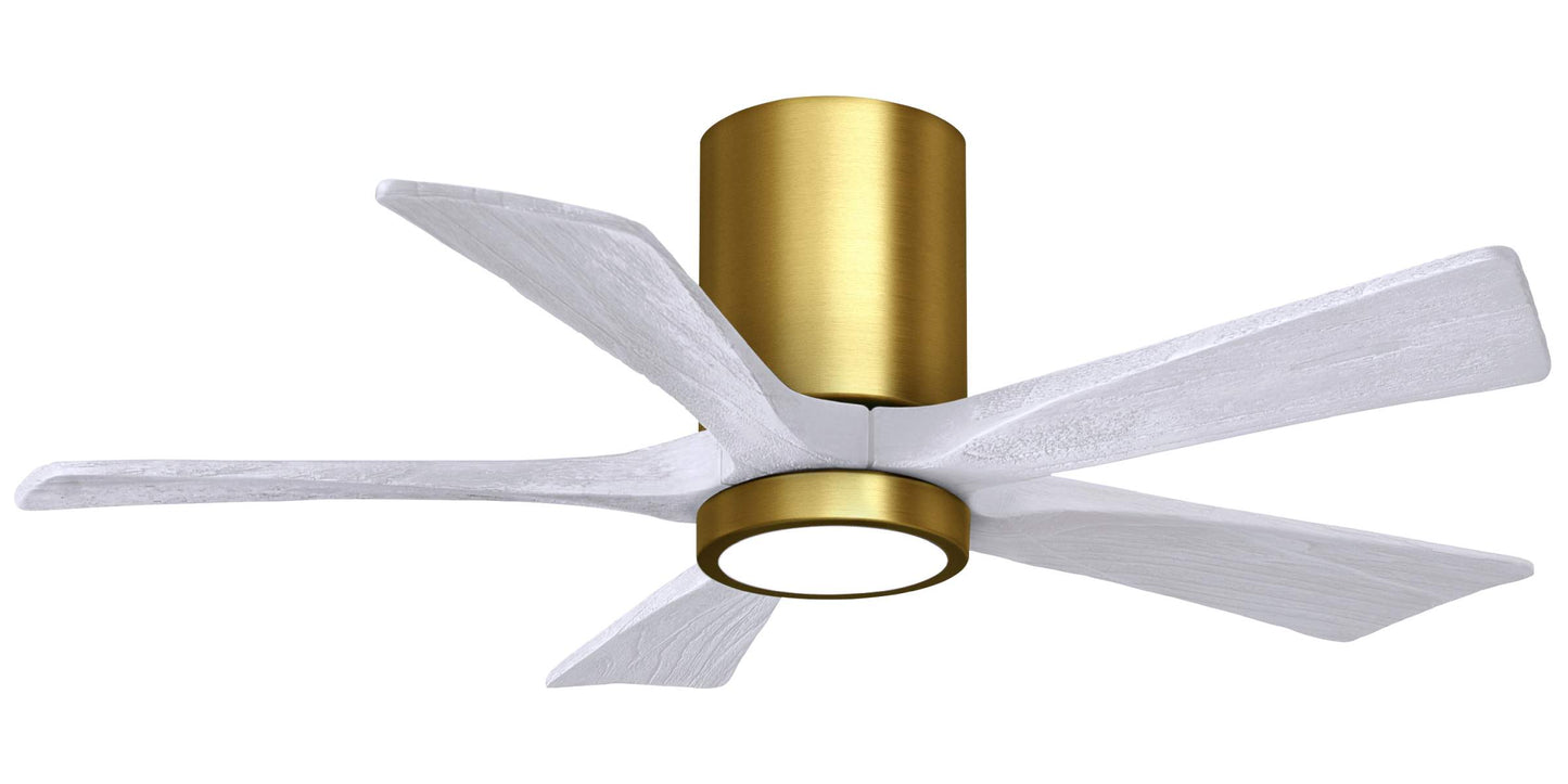 IR5HLK-BRBR-MWH-42 Atlas Irene 42" Ceiling Fan in Brushed Brass with Matte White Blades