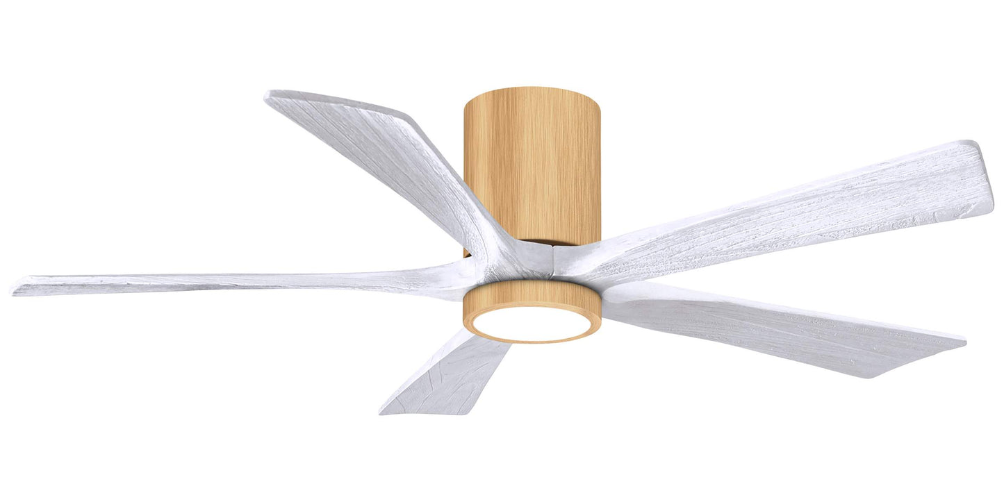 IR5HLK-LM-MWH-52 Atlas Irene 52" Ceiling Fan in Light Maple with Matte White Blades